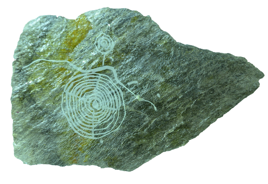 Cosmos Carschenna: Sonnenrad