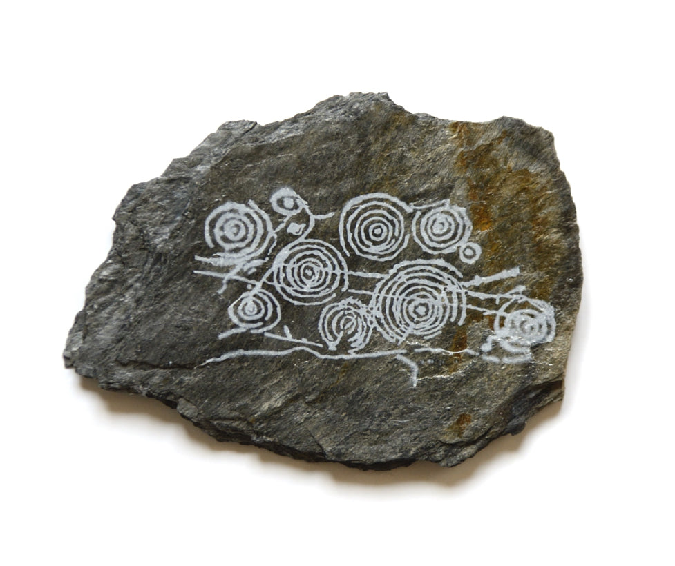 Cosmos Carschenna: Spiralen