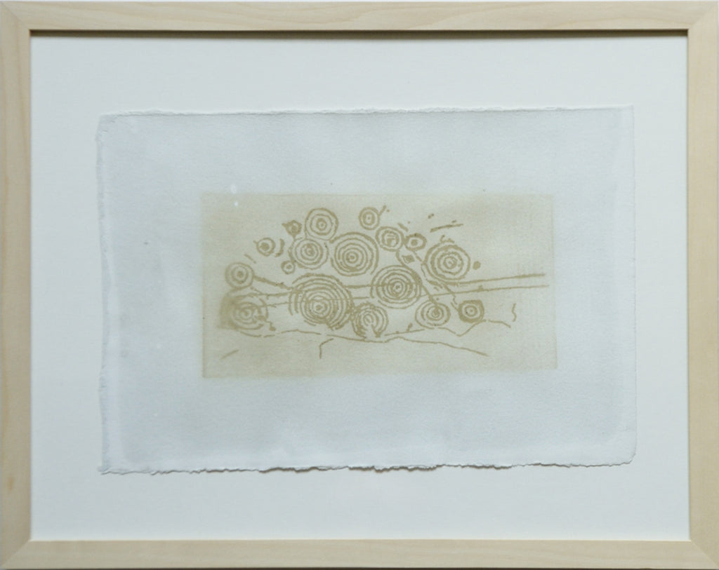 Cosmos Carschenna 1 Erdpigment