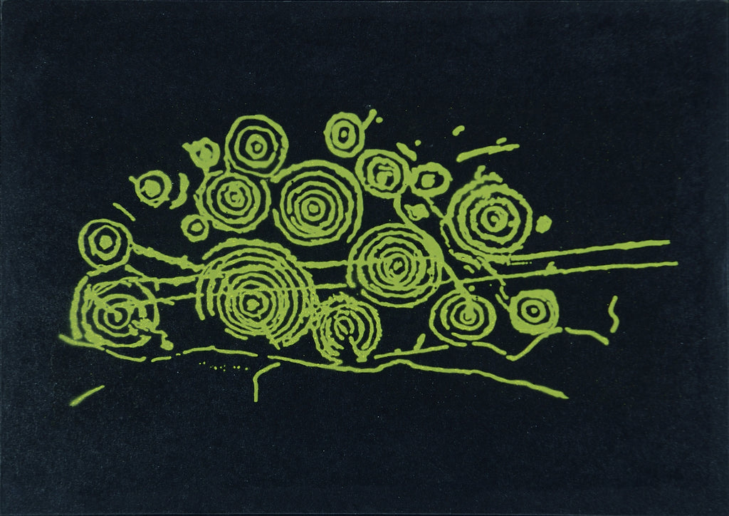 Cosmos Carschenna 1 Gelb