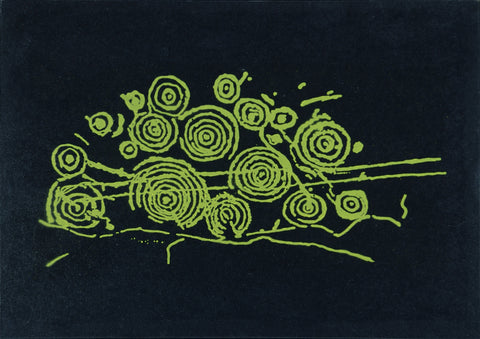 Cosmos Carschenna 1 Gelb