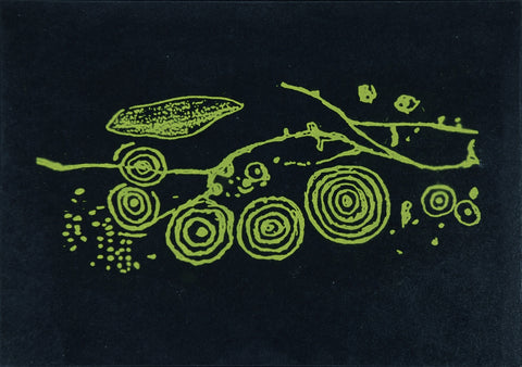 Cosmos Carschenna 2 Gelb