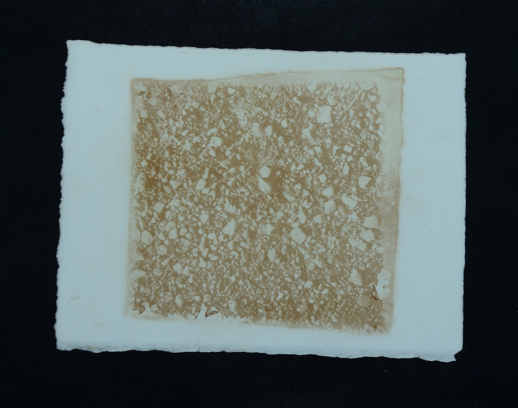 Die Felder von Verdun 1