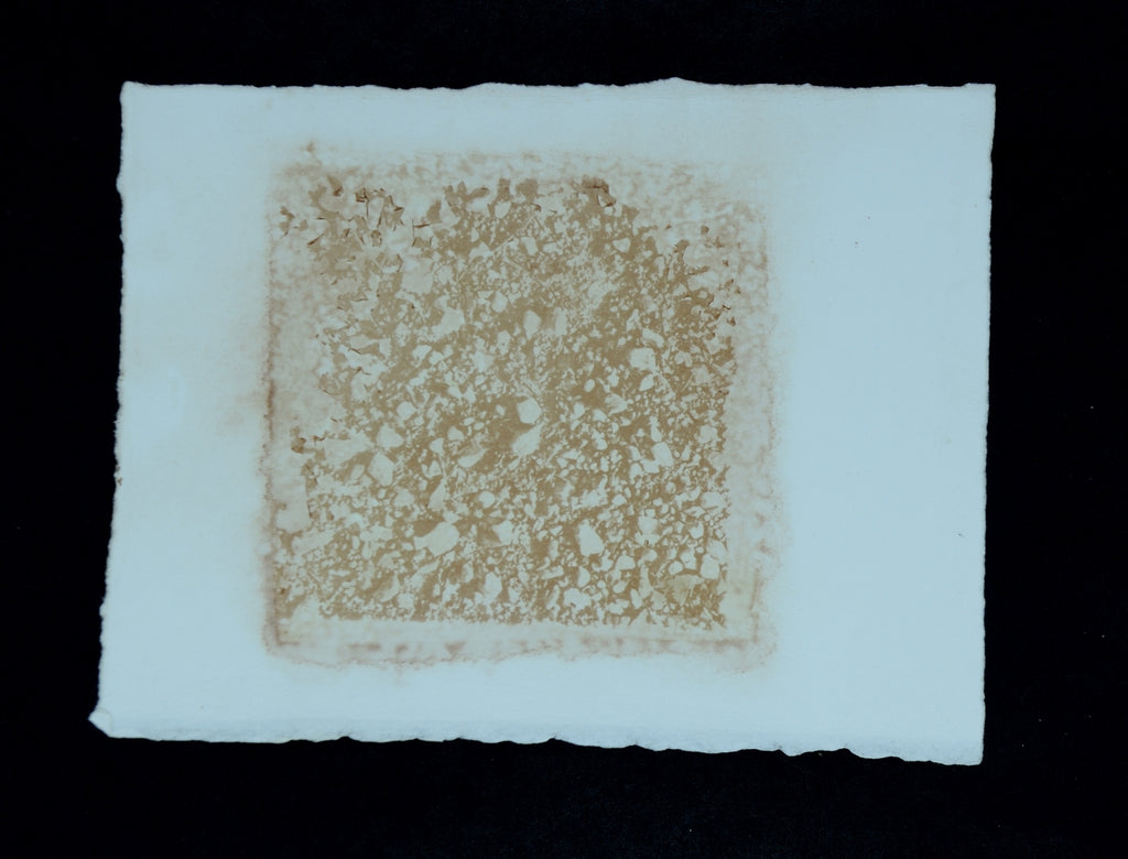 Die Felder von Verdun 2