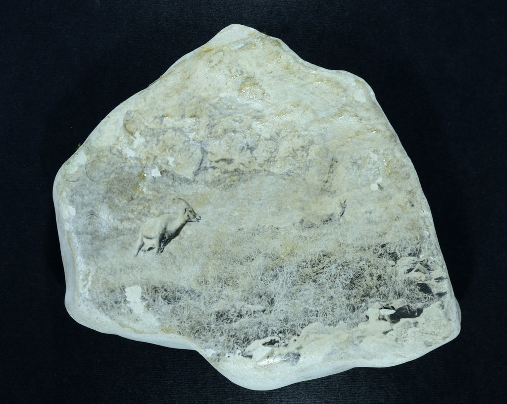 Steingeissen Kalkstein