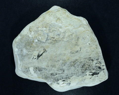 Steingeissen Kalkstein