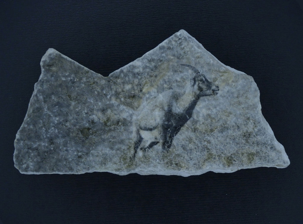 Steingeiss Kalkstein 1