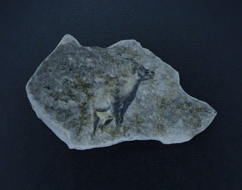 Steingeiss Kalkstein 2