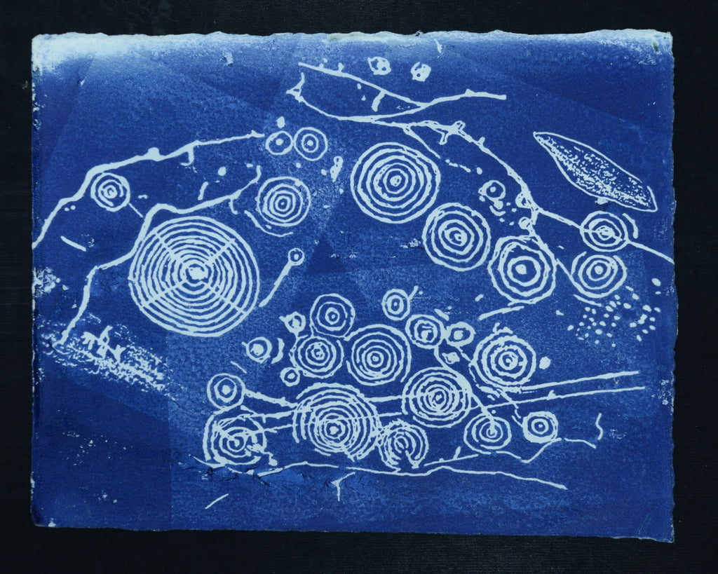 Cosmos Carschenna Sternkarte