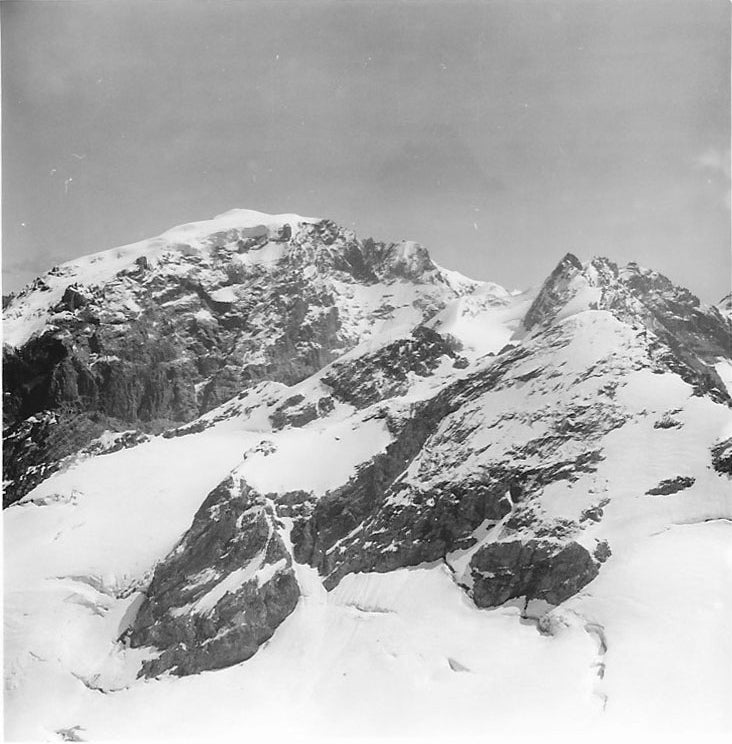 Ortler